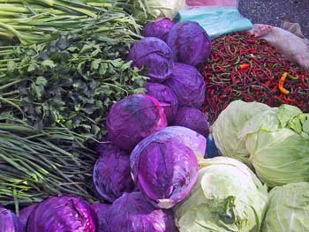 Lauch, Kohl und Chili